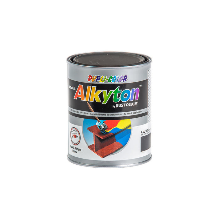 ANTI-CORROSION PAINT 4B1 ALKYTON RAL 9005 DUPLI COLOR