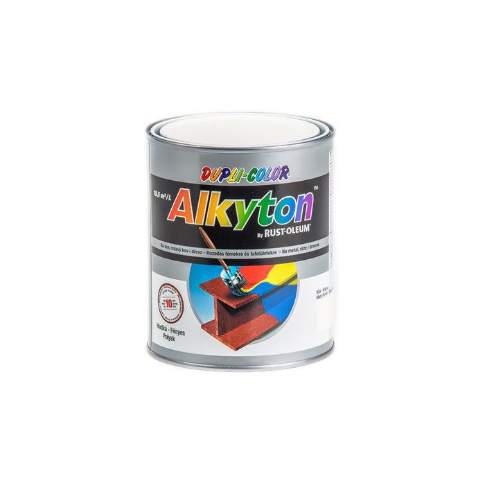 ANTI-CORROSION PAINT 4B1 ALKYTON RAL 9010 DUPLI COLOR