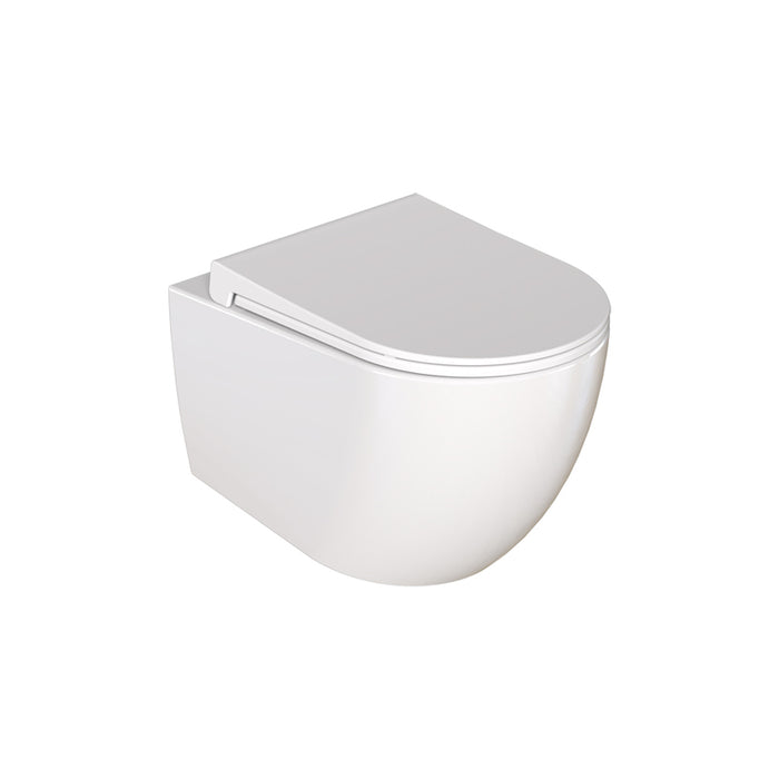 WALL-MOUNTED TOILET DISH DURA SIENA