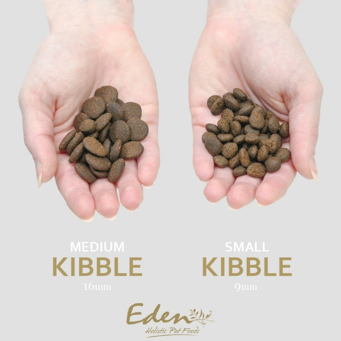 EDEN 80/20 Fish Cuisine Medium & Large - dry dog food - 12kg