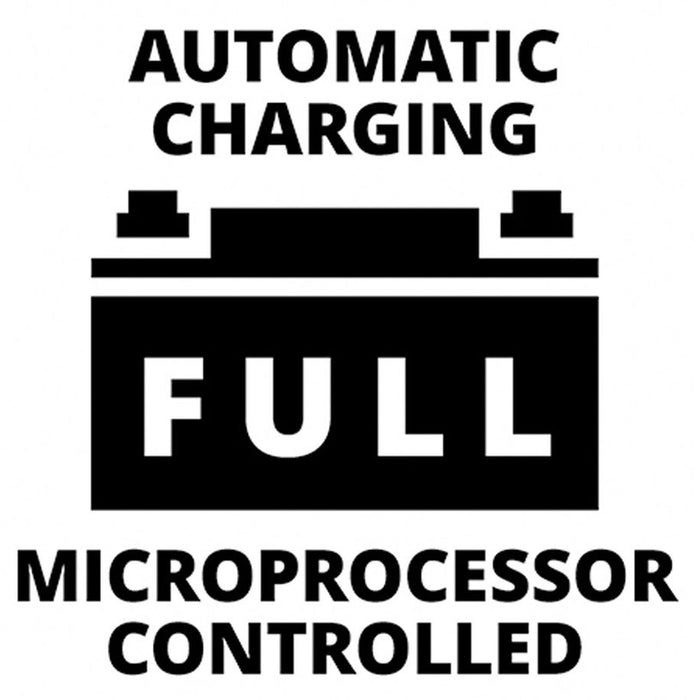 CHARGER EINHELL CE-BC 4M