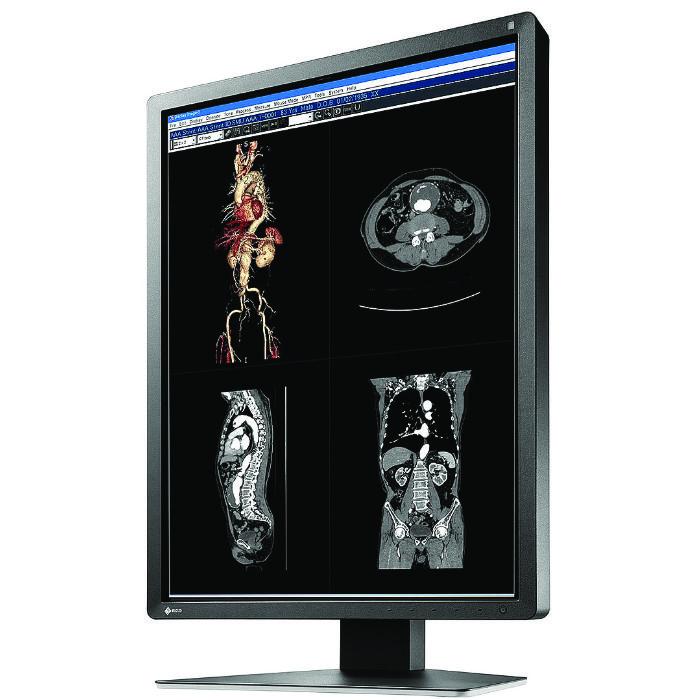 Medical monitor EIZO RadiForce MX216-SB 2MP Color