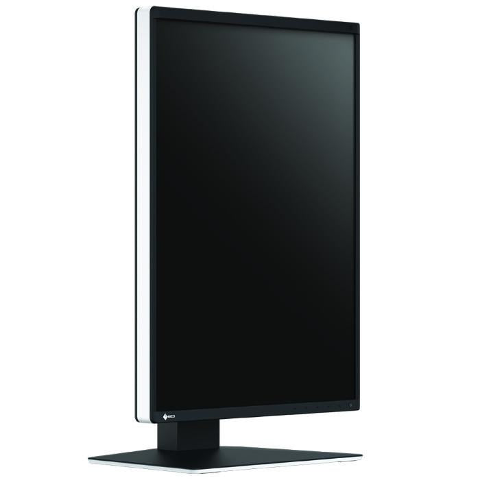Medical monitor EIZO RadiForce RX560 5MP Color