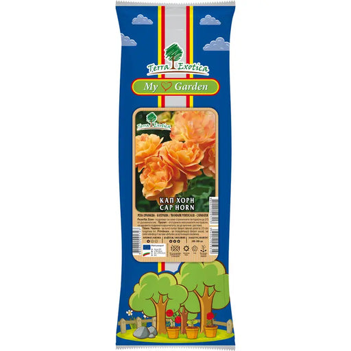EKZOTIKA CATERPILLAR ROSE ROOT - Корени<<<Външни растения<<<Градина<<<Praktiker