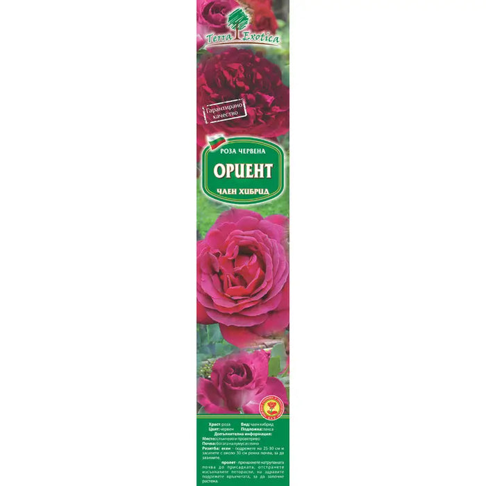 EKZOTIKA ROSE ROOT - Корени<<<Външни растения<<<Градина<<<Praktiker