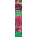 EKZOTIKA ROSE ROOT - Корени<<<Външни растения<<<Градина<<<Praktiker