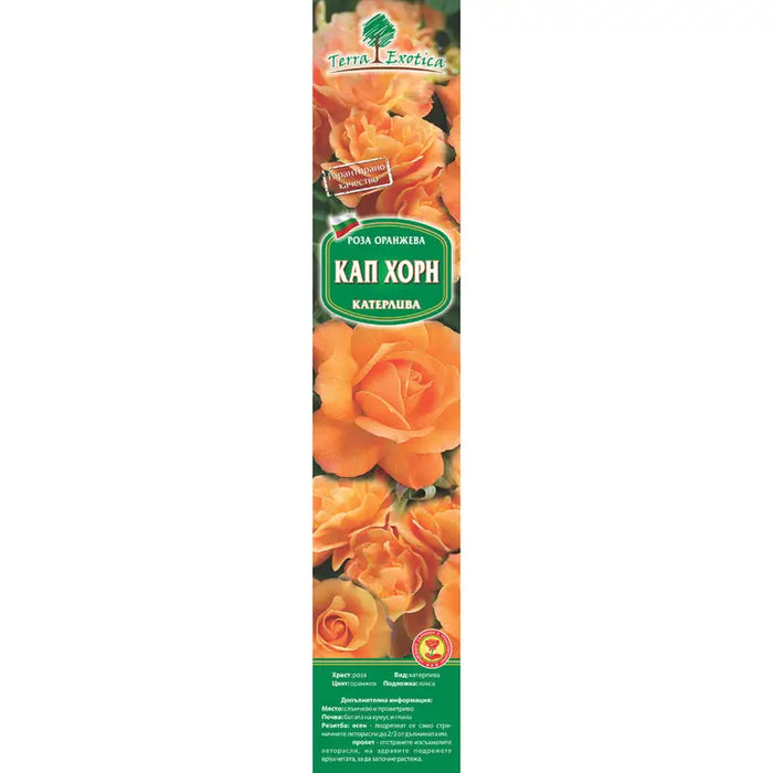 EKZOTIKA ROSE ROOT - Корени<<<Външни растения<<<Градина<<<Praktiker