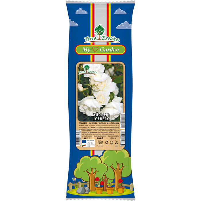 EKZOTIKA CATERPILLAR ROSE ROOT