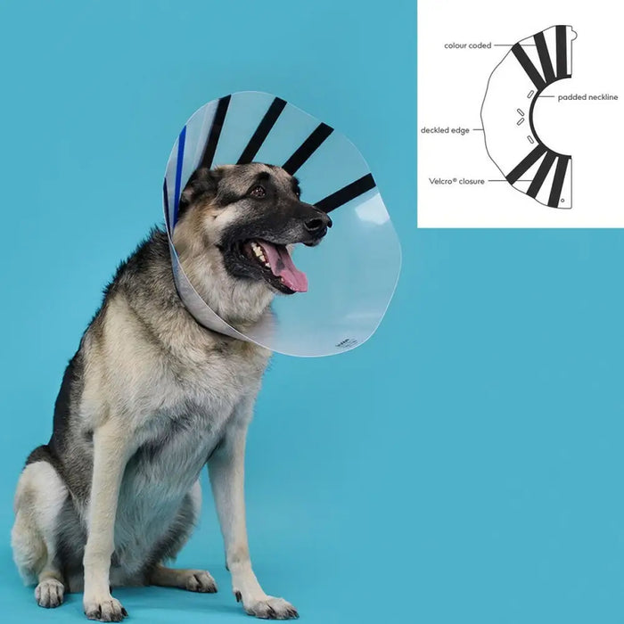 Elizabethan Dog Collar KVP EZ Clear (39-51 cm) - Домашни Животни<<<Дом Градина<<<BigBuy&&&Здраве и хигиена<<<Домашни