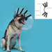 Elizabethan Dog Collar KVP EZ Clear (39-51 cm) - Домашни Животни<<<Дом Градина<<<BigBuy&&&Здраве и хигиена<<<Домашни