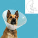 Elizabethan Dog Collar KVP Quick Fit Transparent (63-78 cm) - Домашни Животни<<<Дом Градина<<<BigBuy&&&Здраве и