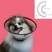 Elizabethan Dog Collar KVP Saf-T-Clear Transparent (25-38 cm) - Домашни Животни<<<Дом Градина<<<BigBuy&&&Здраве и