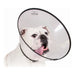 Elizabethan Dog Collar KVP Saf-T-Clear Transparent (25-38 cm) - Домашни Животни<<<Дом Градина<<<BigBuy&&&Здраве и