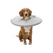 Elizabethan Dog Collar Trixie Grey (23-27 cm) - Здраве и хигиена<<<Домашни Животни<<<Дом Градина<<<BigBuy