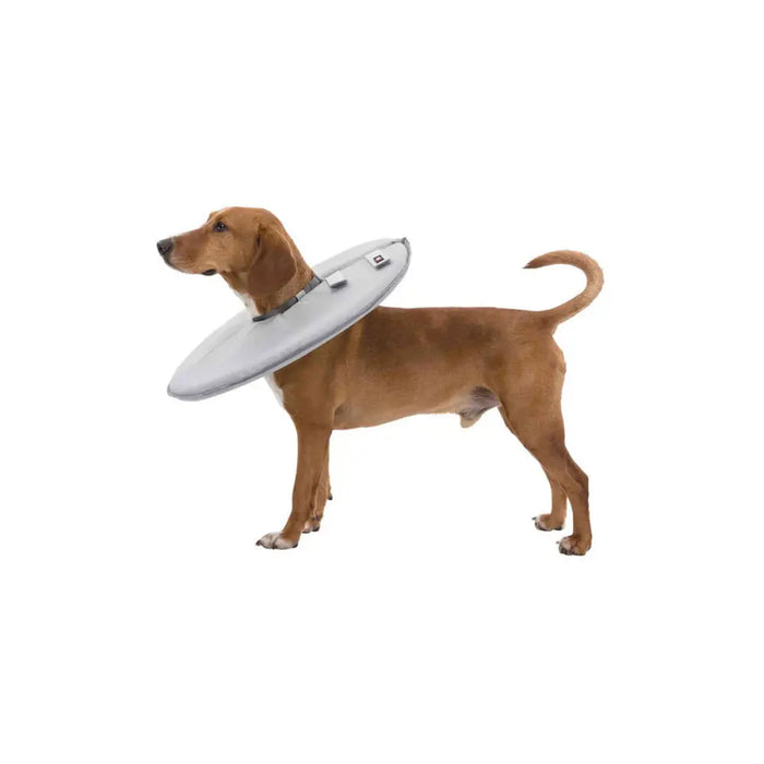 Elizabethan Dog Collar Trixie Grey (38-42 cm) - Домашни Животни<<<Дом Градина<<<BigBuy&&&Здраве и хигиена<<<Домашни
