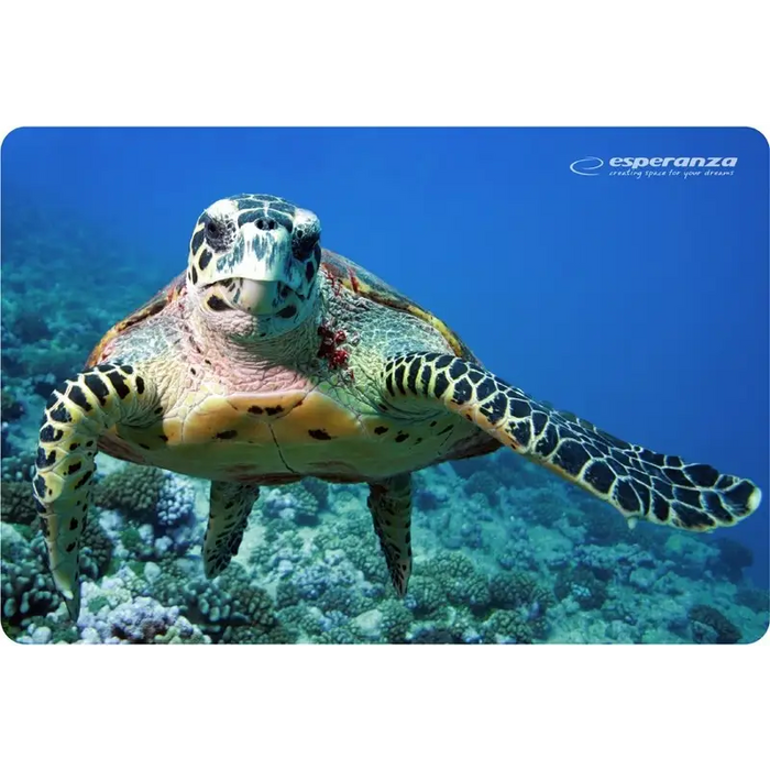 Esperanza EA133 mouse pad Multicolor - Mouse padsARB-POD<<<Office suppliesARB<<<ActionPL