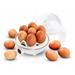 Esperanza EKE001 egg cooker 7 egg(s) 350 W White - Egg boilersAGD-JAJ<<<Home Appliance - ProductsAGD<<<ActionPL