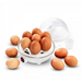 Esperanza EKE001 egg cooker 7 egg(s) 350 W White - Egg boilersAGD-JAJ<<<Home Appliance - ProductsAGD<<<ActionPL