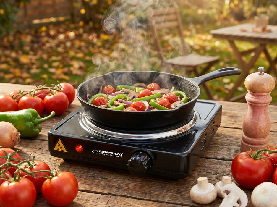 Esperanza EKH002K hob Black Sealed plate 1 zone(s)