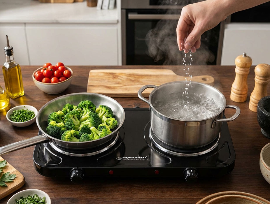 Esperanza EKH010K Electric cooker, top, 2 heating fields, black