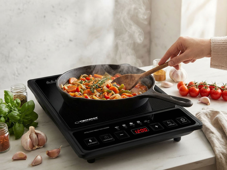 Esperanza EKH011 Black induction cooker