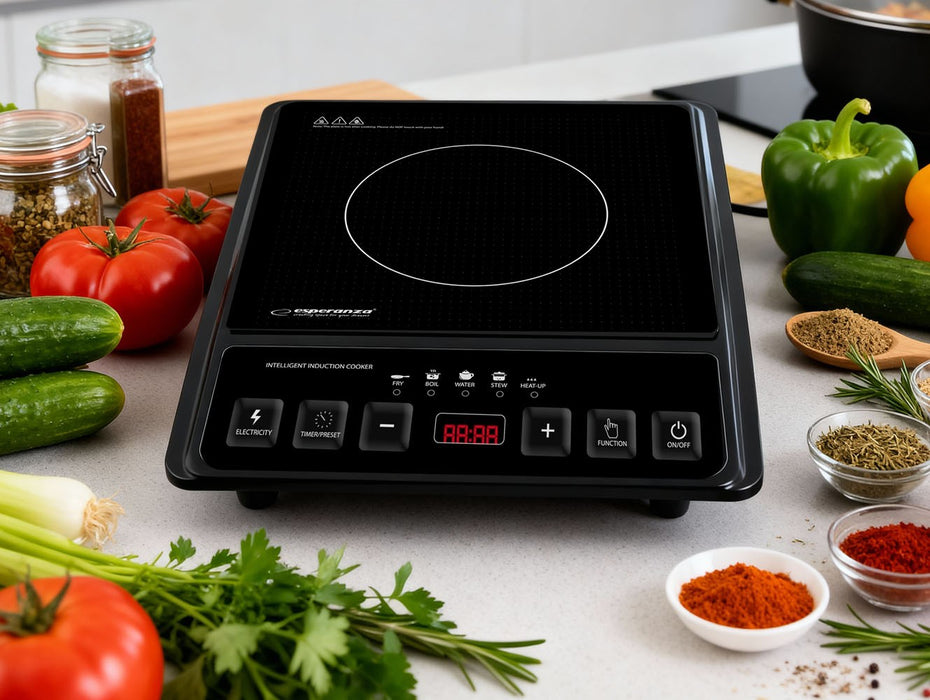 Esperanza EKH011 Black induction cooker