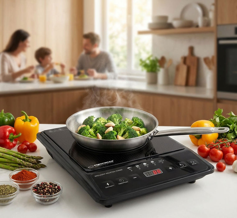 Esperanza EKH011 Black induction cooker