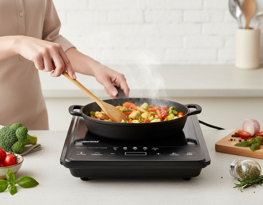 Esperanza EKH011 Black induction cooker