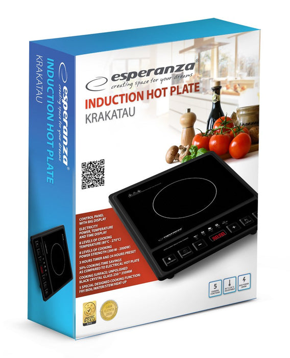 Esperanza EKH011 Black induction cooker