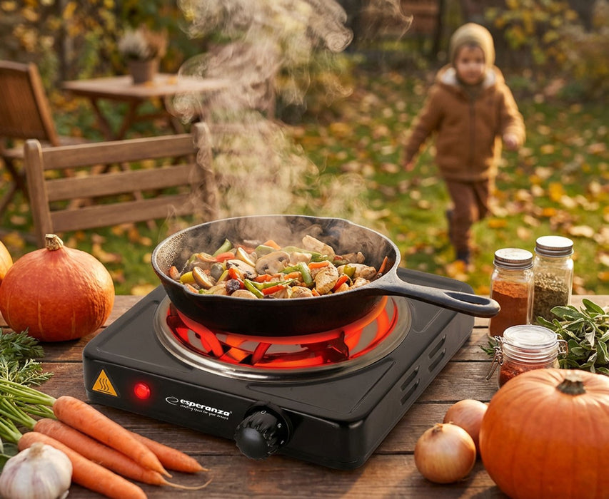 Esperanza EKH012K Black electric stove