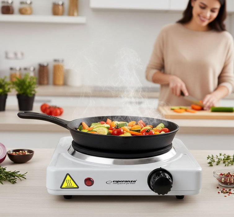 Esperanza EKH013W White Electric stove