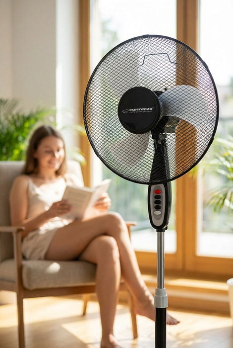Esperanza EHF002KE, 16 '' standing fan, Black and Gray