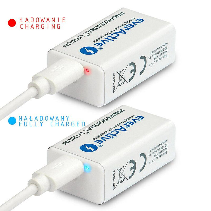 Accumulator Battery R22 9V LiIon 500mAh/550 precharged +Usb-C 1pc. in EVERACTIVE packaging