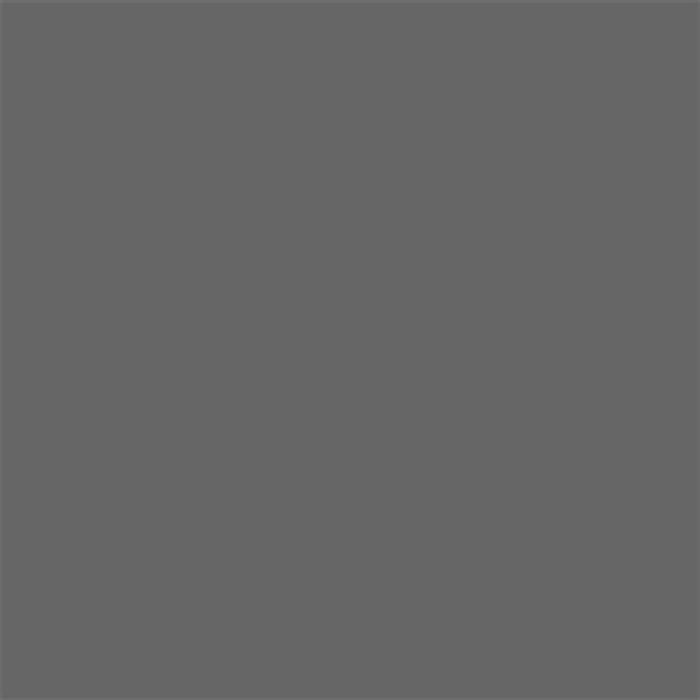 EXTRA ALKYD PAINT 2.5 L RAL 7046 DEKORATOR - Алкидни и водоразтворими<<<Бои за метал и дърво<<<Бои и лакове<<<Praktiker