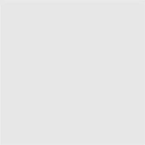 EXTRA ALKYD PAINT 650 ML RAL 9016 DEKORATOR - Алкидни и водоразтворими<<<Бои за метал и дърво<<<Бои и