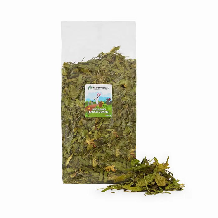 FACTORYHERBS Plantain leaf - treat for rodents and rabbits - 300g - FodderDMZ-KAR<<<For small animalsDMZ<<<ActionPL