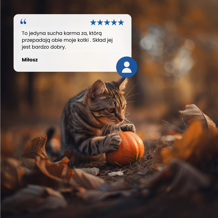 FARMINA N&D Pumpkin Cat Lamb and Blueberry Neutered Adult - dry cat food - 1.5 kg