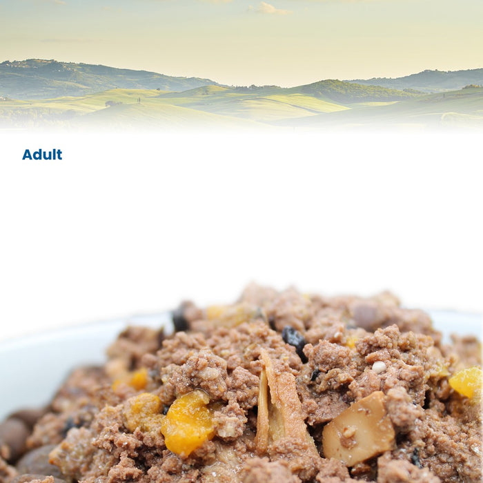 FARMINA N&D CAT PRIME BOAR & APPLE  70g