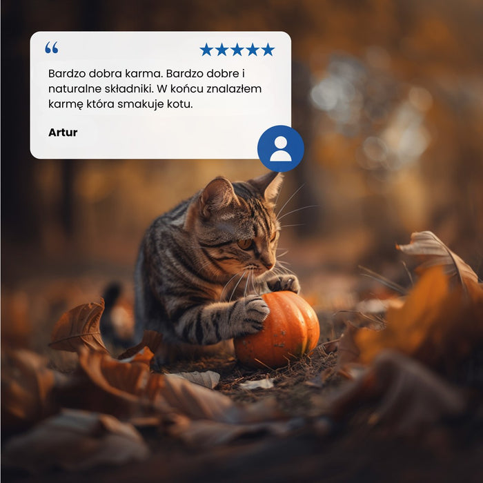 FARMINA N&D CAT VENISON & PUMPKIN 70g