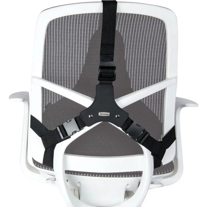 Fellowes Ergonomics professional back support pillow - Back supportsAEU-PLE<<<Articles improvng ergonomics