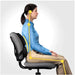 Fellowes Ergonomics professional back support pillow - Back supportsAEU-PLE<<<Articles improvng ergonomics