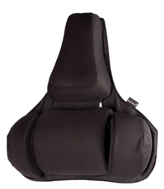 Fellowes Ergonomics professional back support pillow