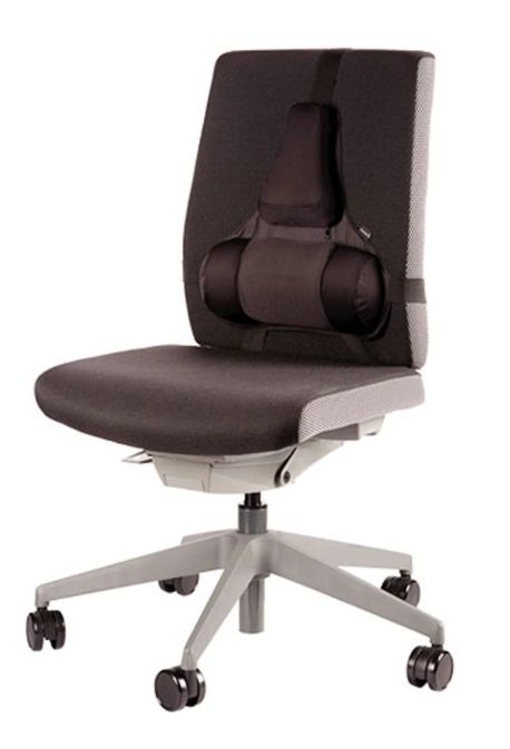 Fellowes Ergonomics professional back support pillow