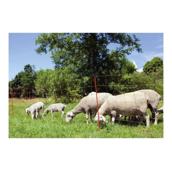 Fence Kerbl 90 cm - Домашни Животни<<<Дом Градина<<<BigBuy&&&Здраве и хигиена<<<Домашни Животни<<<Дом Градина<<<BigBuy