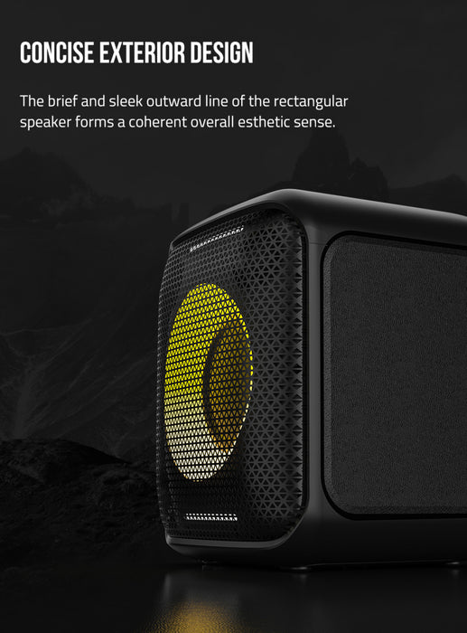 Fenda PA100 40W RMS speaker