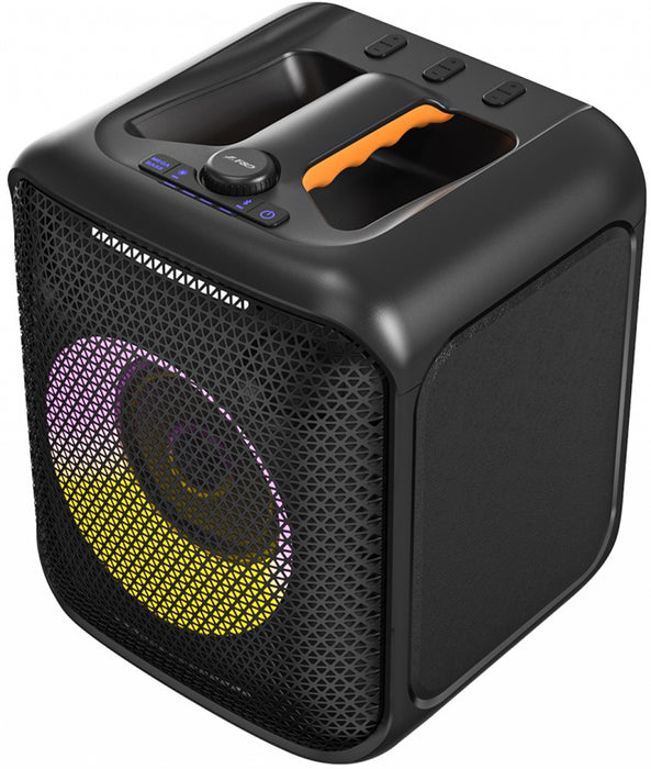 Fenda PA100 40W RMS speaker