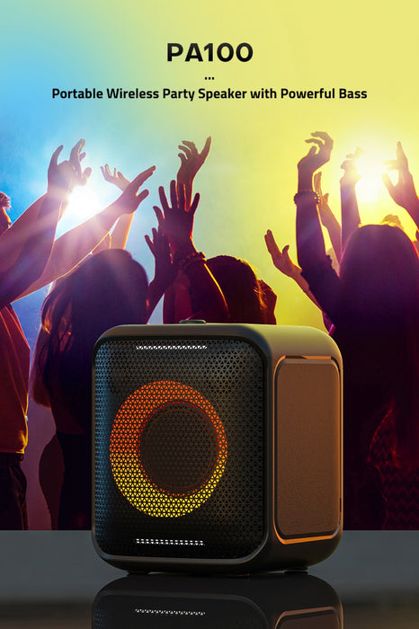 Fenda PA100 40W RMS speaker