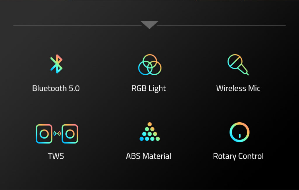 Fenda PA100 40W RMS loudspeaker
