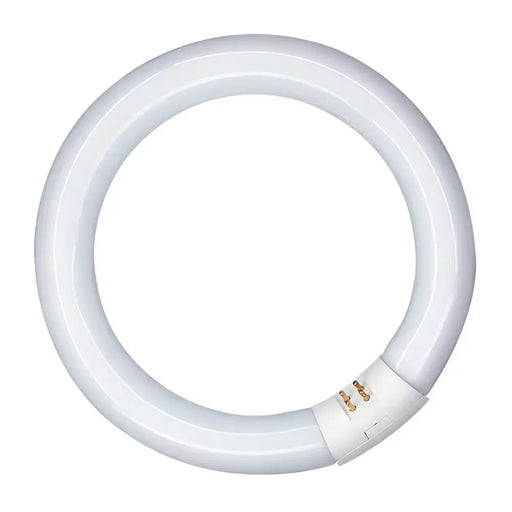 Fluorescent pipe Patron 20 W G10Q (6400 K) - Декорация и Осветление<<<Дом Градина<<<BigBuy&&&Електрически
