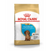Food Royal Canin SHN Breed Dachshund Jun 1.5 kg - Dry foodDLP-KAS<<<For the dogDLP<<<ActionPL